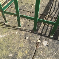 images/items/v5/1461781442.jpg